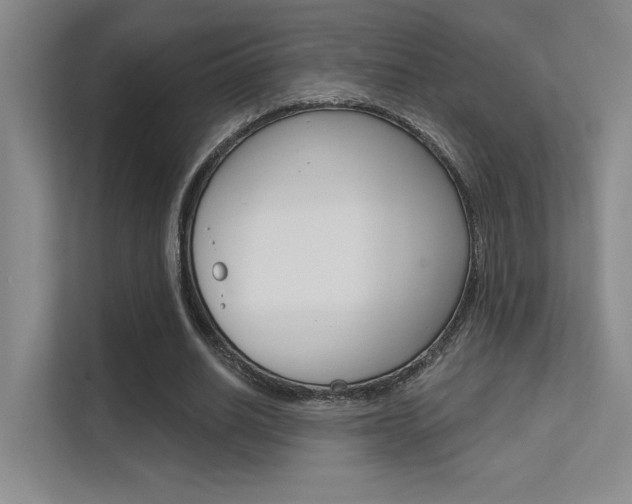 X0000112390630200908131344