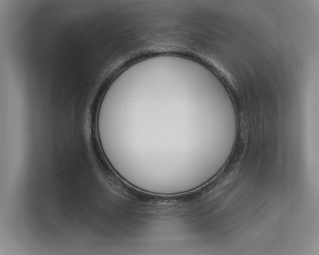 X0000112390631200908131344