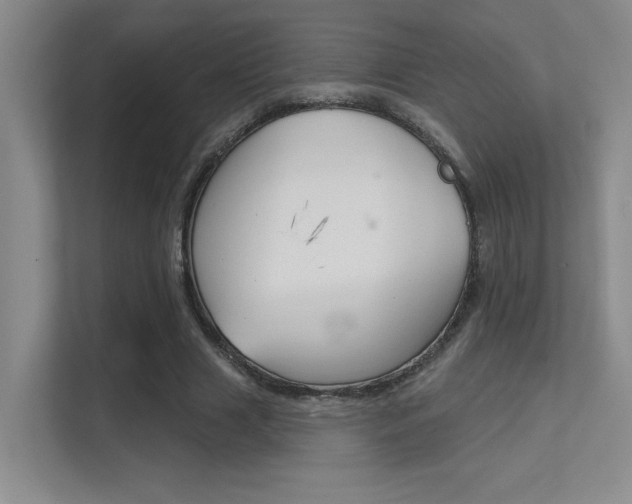X0000112390633200908131344
