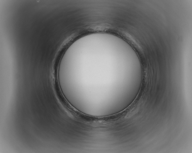 X0000112390634200908131344