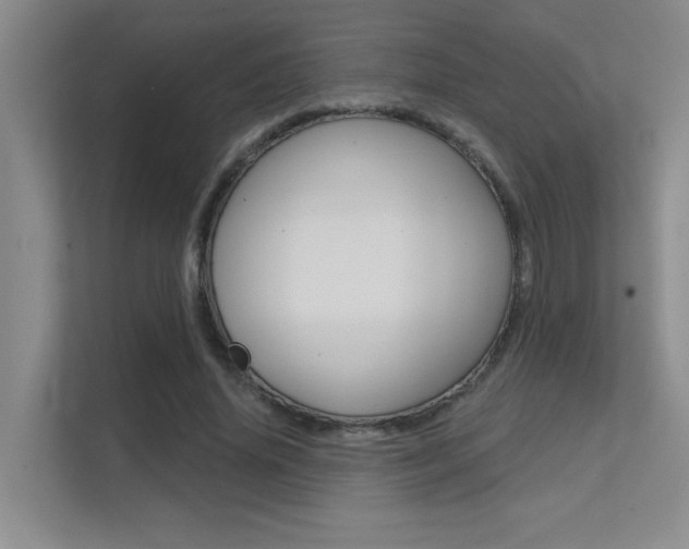 X0000112390636200908131344