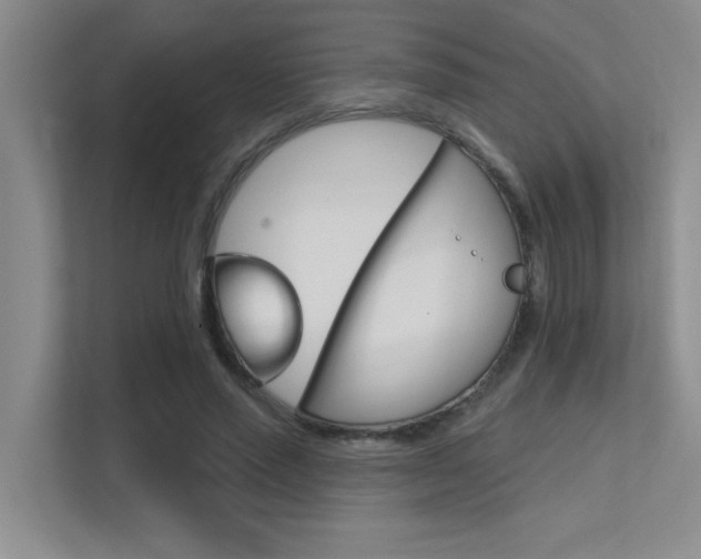 X0000112390637200908131344