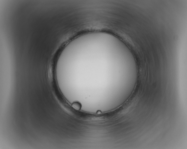 X0000112390638200908131344