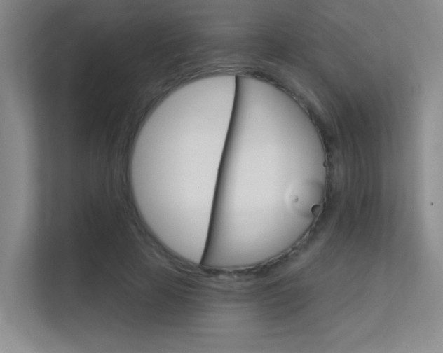 X0000112390641200908131344