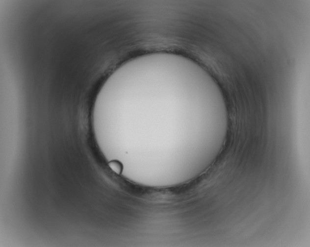 X0000112390642200908131344