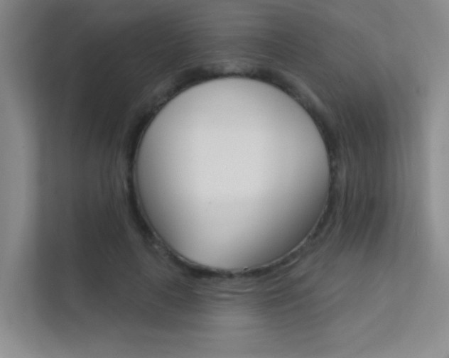 X0000112390643200908131344