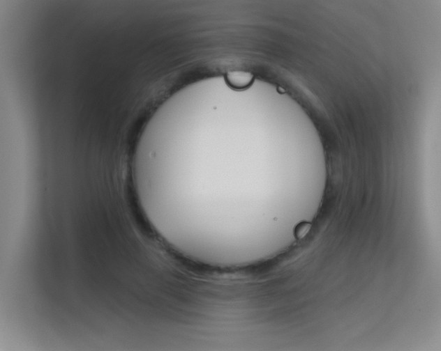 X0000112390645200908131344
