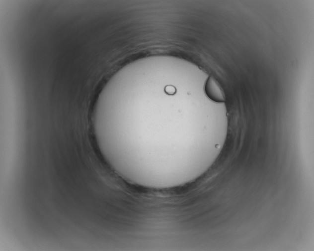 X0000112390655200908131345