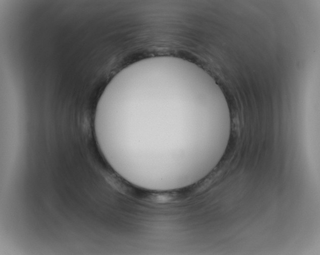 X0000112390662200908131345