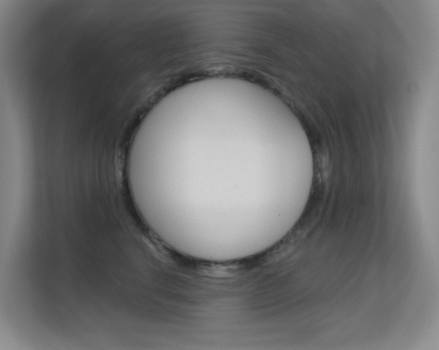 X0000112390664200908131345