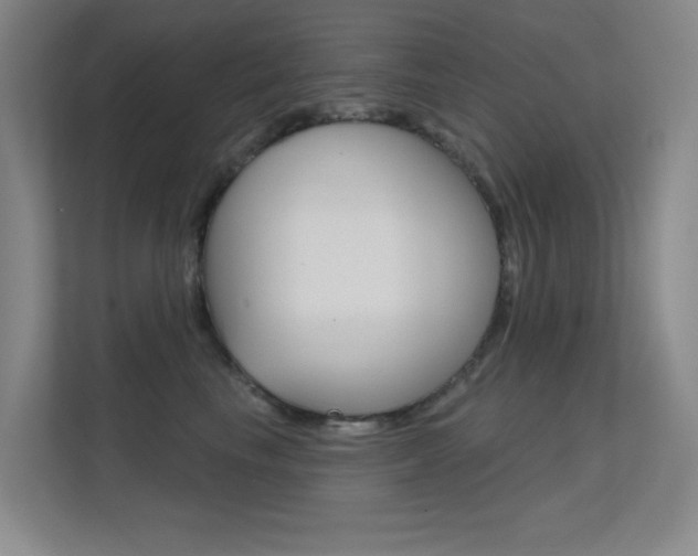 X0000112390665200908131345