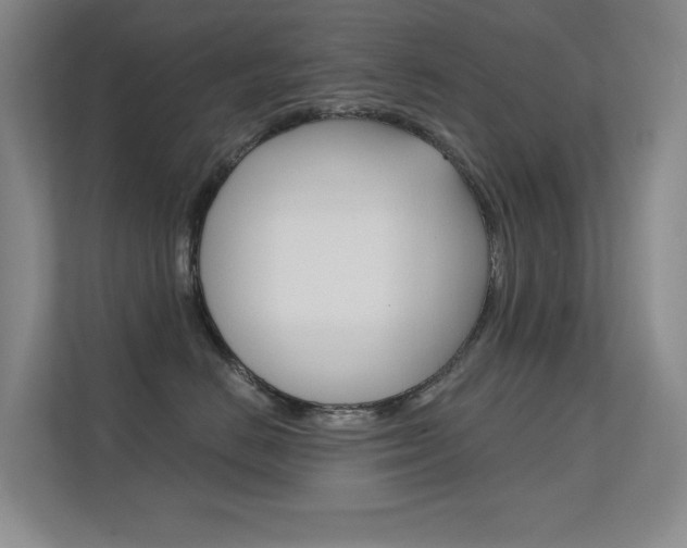 X0000112390670200908131345
