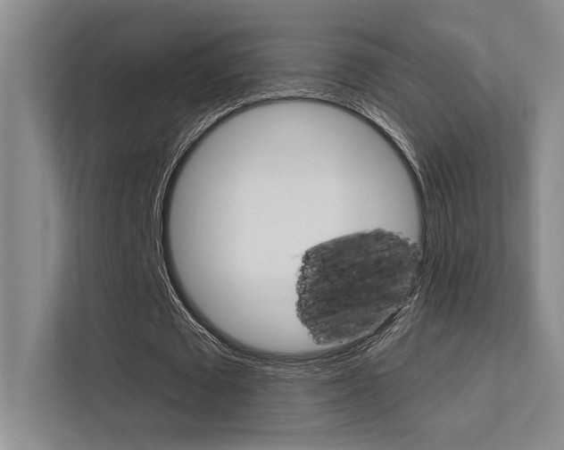 X0000112390673200908131344