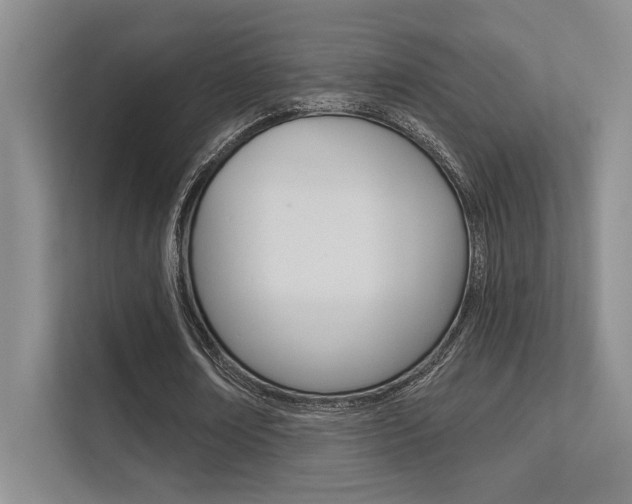 X0000112390674200908131344