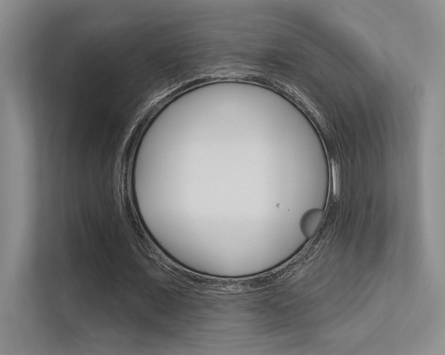 X0000112390675200908131344