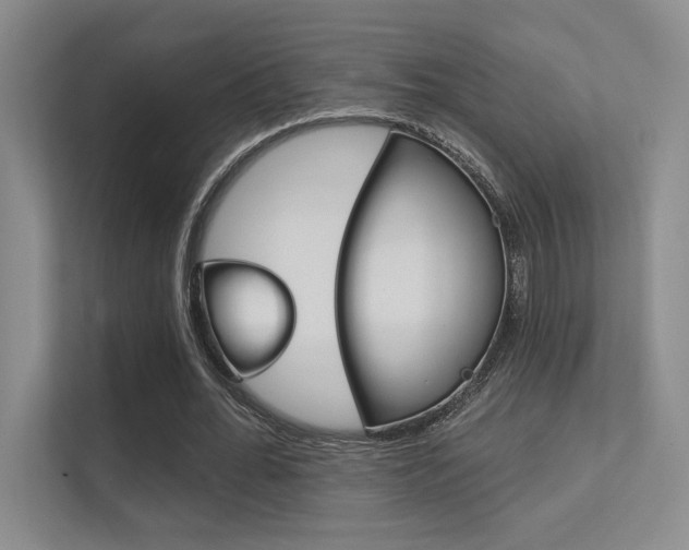 X0000112390676200908131344