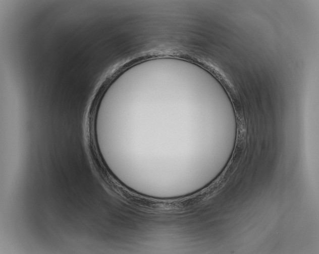 X0000112390678200908131344