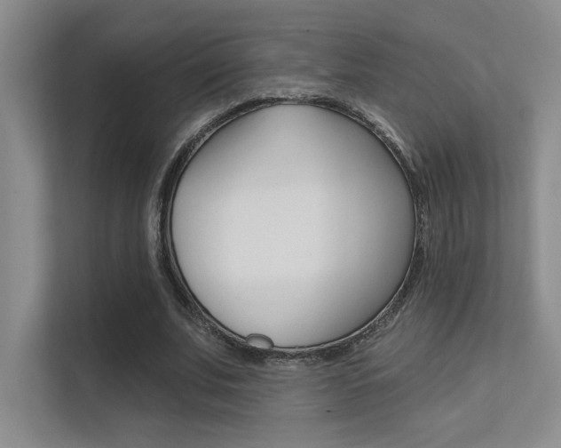 X0000112390679200908131344