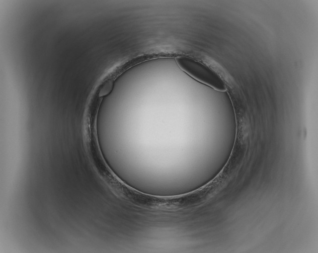 X0000112390680200908131344