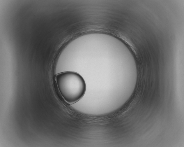 X0000112390681200908131344
