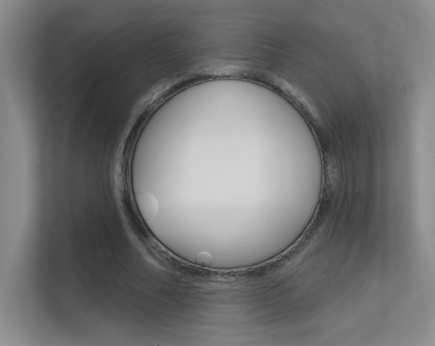 X0000112390682200908131344