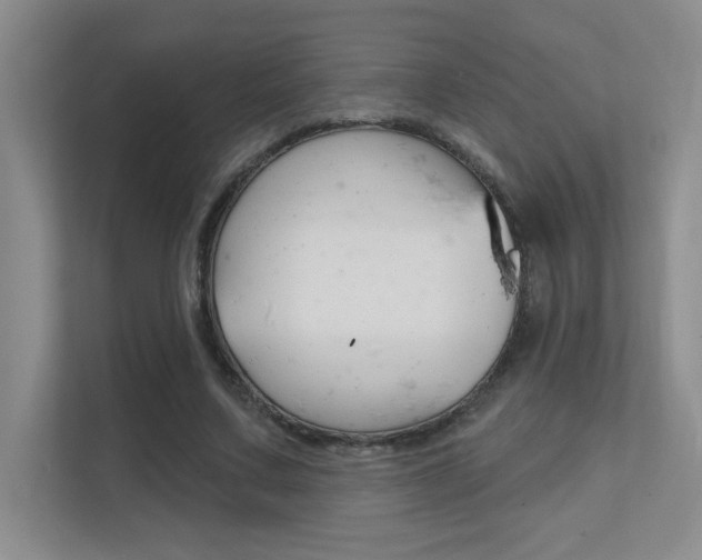 X0000112390683200908131344