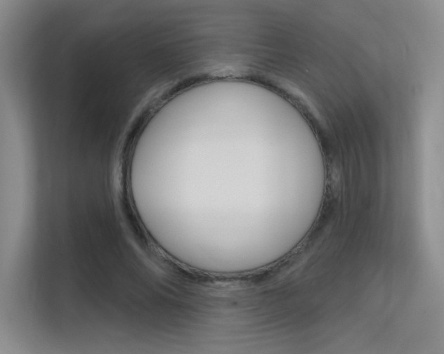 X0000112390686200908131344
