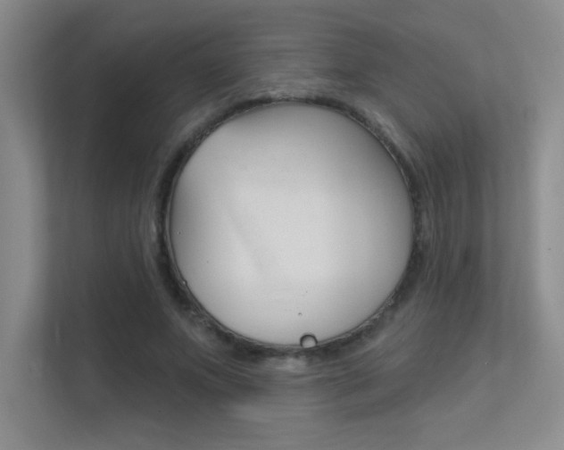 X0000112390687200908131344
