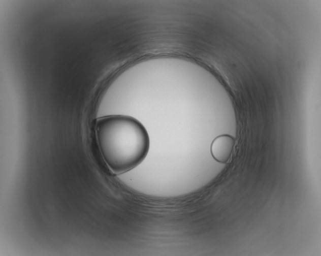 X0000112390688200908131344