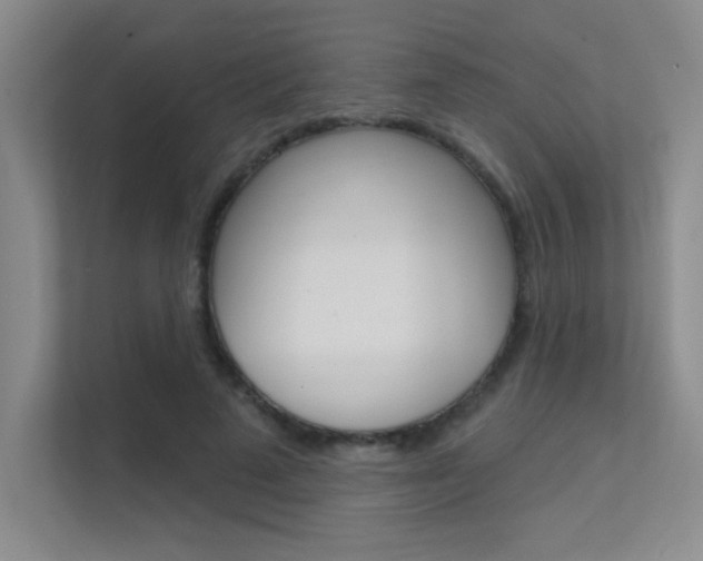 X0000112390689200908131344