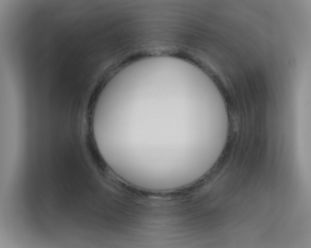 X0000112390690200908131344