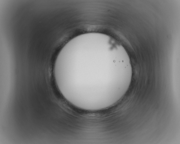 X0000112390691200908131344