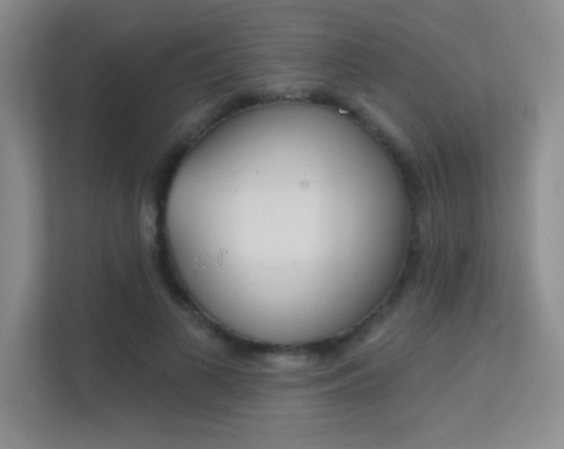 X0000112390693200908131344