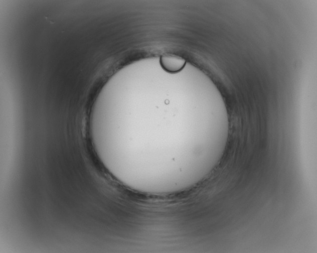 X0000112390694200908131344