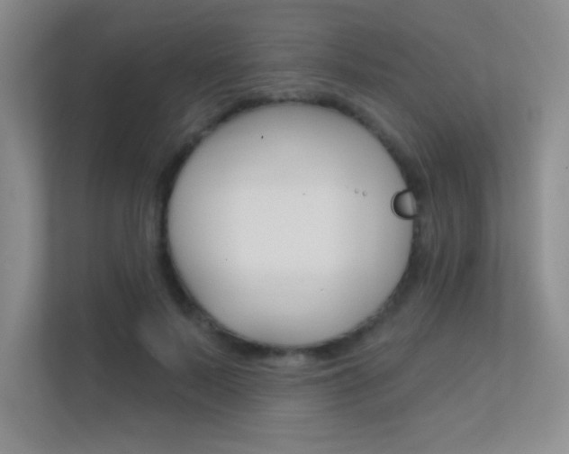 X0000112390695200908131344