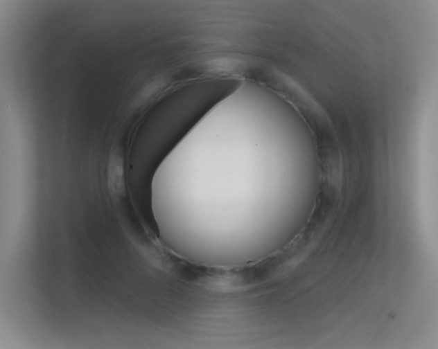 X0000112390696200908131344