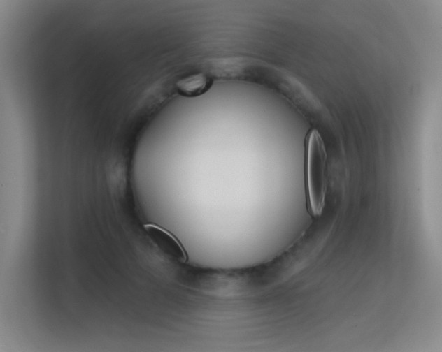 X0000112390697200908131344