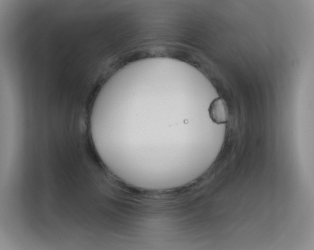 X0000112390702200908131344