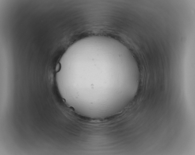 X0000112390703200908131344