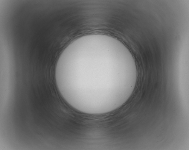 X0000112390704200908131344