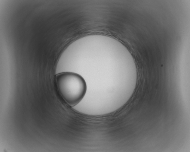 X0000112390708200908131344