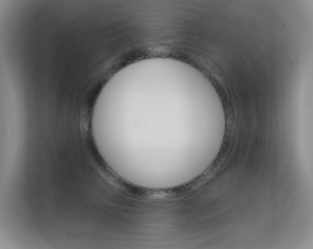 X0000112390710200908131344