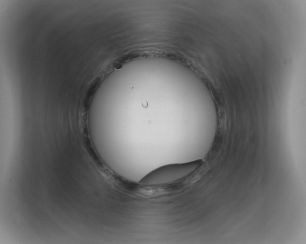 X0000112390712200908131344