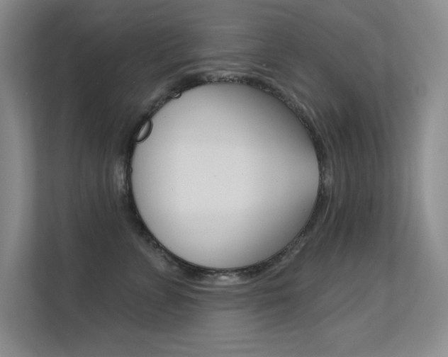 X0000112390715200908131344