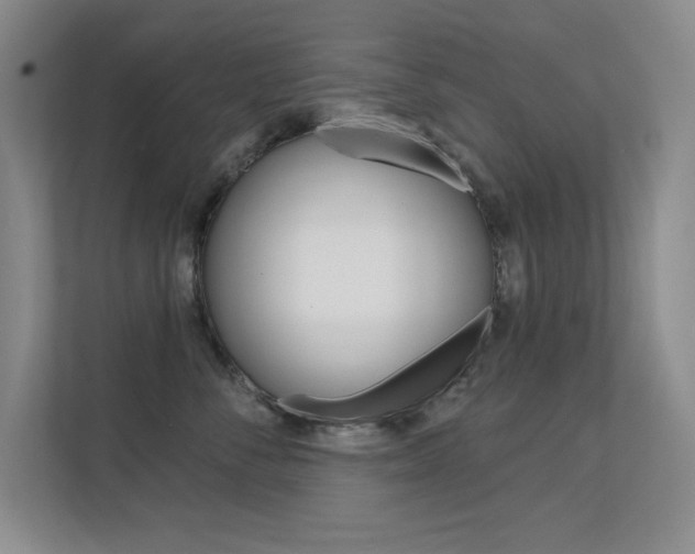 X0000112390716200908131344