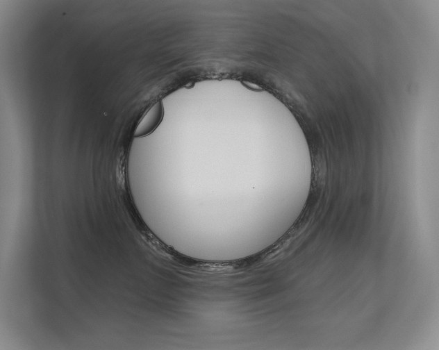 X0000112390719200908131344