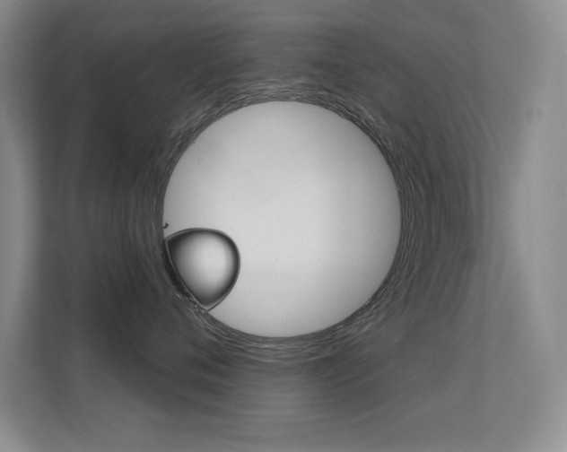 X0000112390720200908131344
