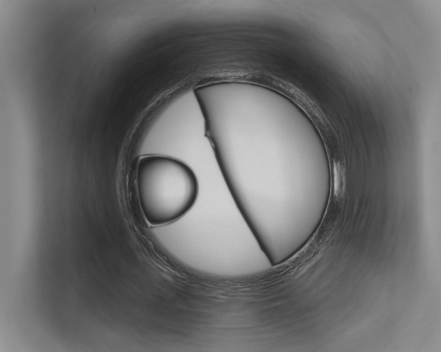 X0000112390723200908131343