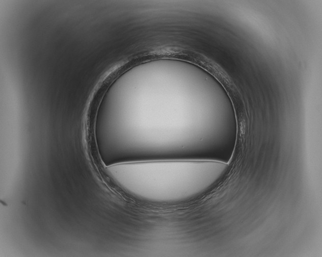 X0000112390724200908131343