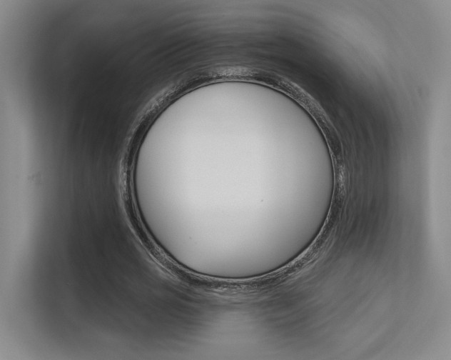 X0000112390725200908131343